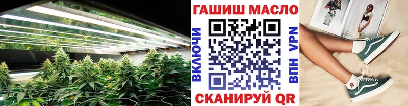 продажа наркотиков Бронницы ТГК гашишное масло